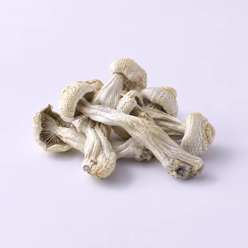 Albino Choda packaging