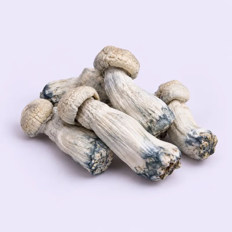 Albino Penis Envy packaging