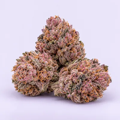Asteroid Pink