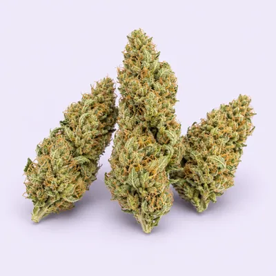 Fruit of the Gods