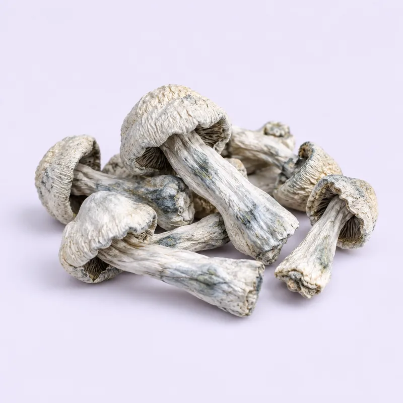 Ghost packaging