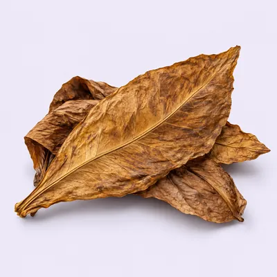 Grabba Leaf