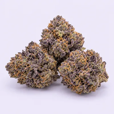 Grape Gusher