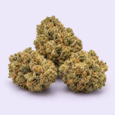 OG Kush Rolex