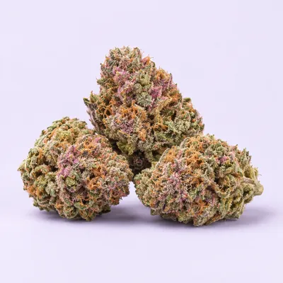 Pink Gas