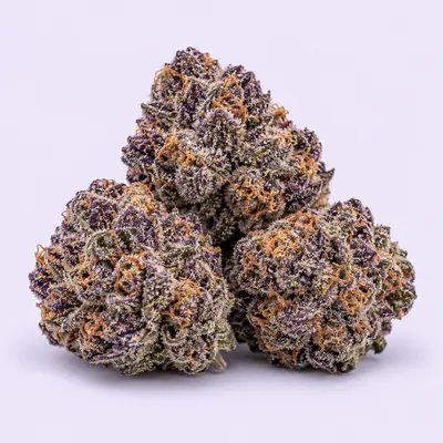 Purple Mac
